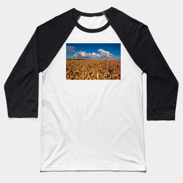 Fields of Golden Corn Baseball T-Shirt by MartynUK